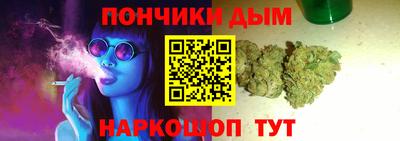 гидропоника Камышлов