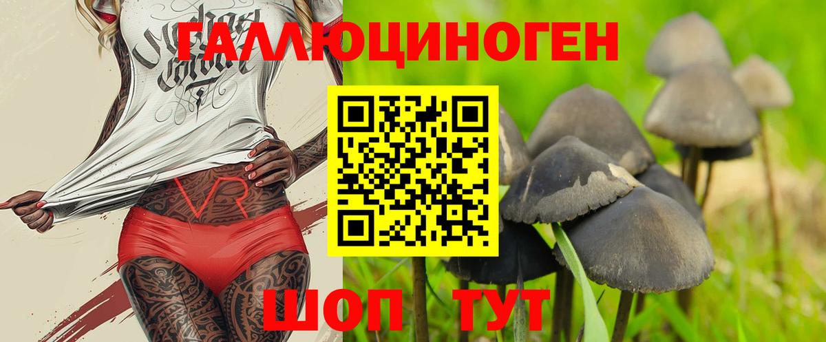 Кунгур  дарнет шоп  Вход с VPN  Псилоцибиновые грибы Magic Shrooms 