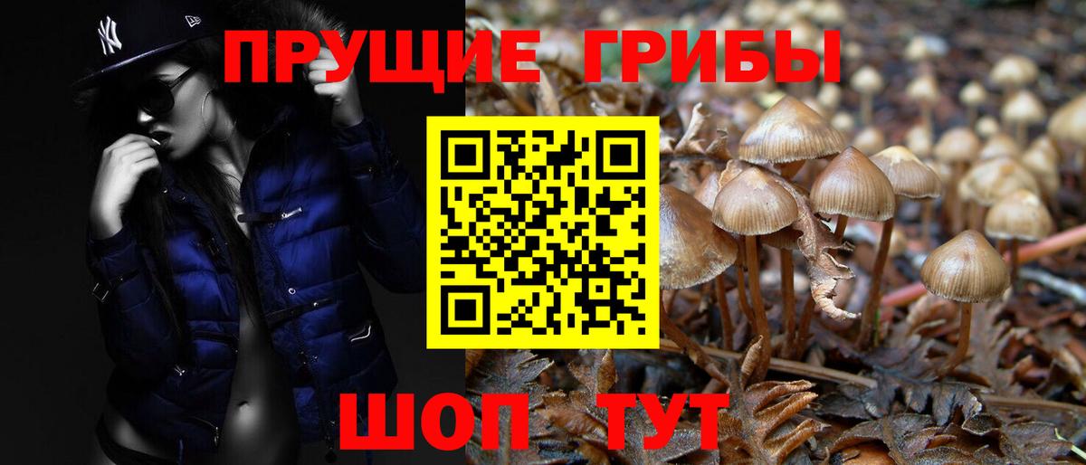 Псилоцибиновые грибы Magic Shrooms Кунгур